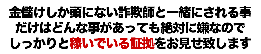 金儲けしか頭にない詐欺師と一緒にされる事だけはどんな事があっても絶対に嫌なのでしっかりと稼いでいる証拠をお見せ致します